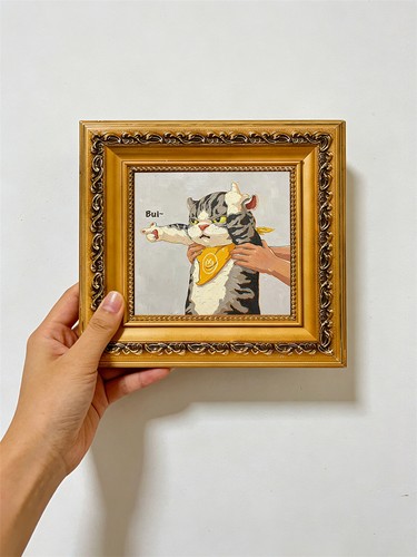 Lustige mürrische katze - lustige,