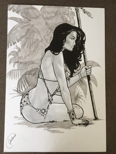 Comic originalzeichnung shanna - originalzeichnung,